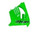 Carenagens Moto Kawasaki ZX9R 2000-2001 - Verde