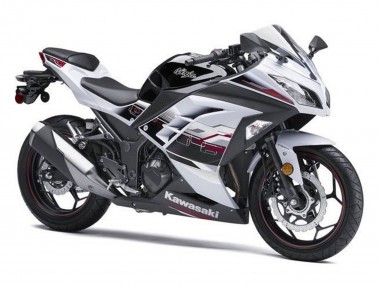 Carenagens Moto Kawasaki EX300 2013-2024 - Branco Preto Vermelho Accents